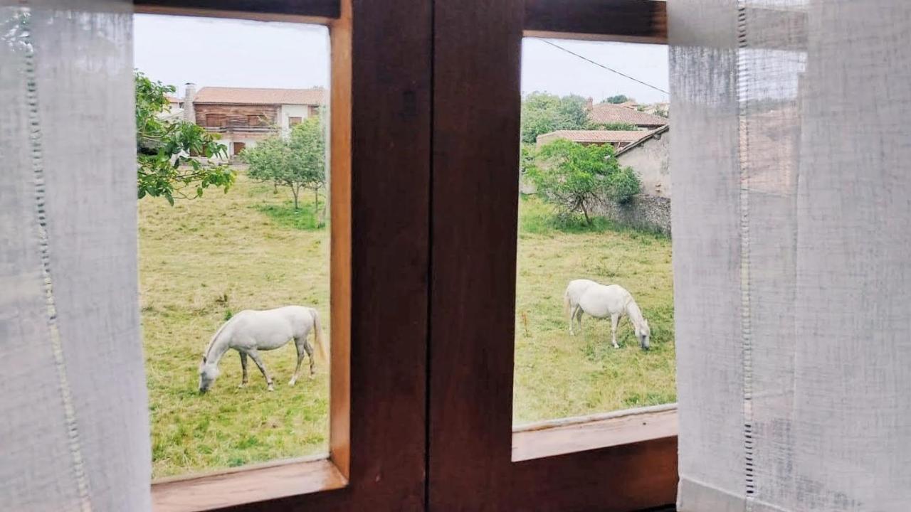 Casa Dolfin - "Tu Hogar En La Costa Del Paraiso" Pensionat Navés Eksteriør billede